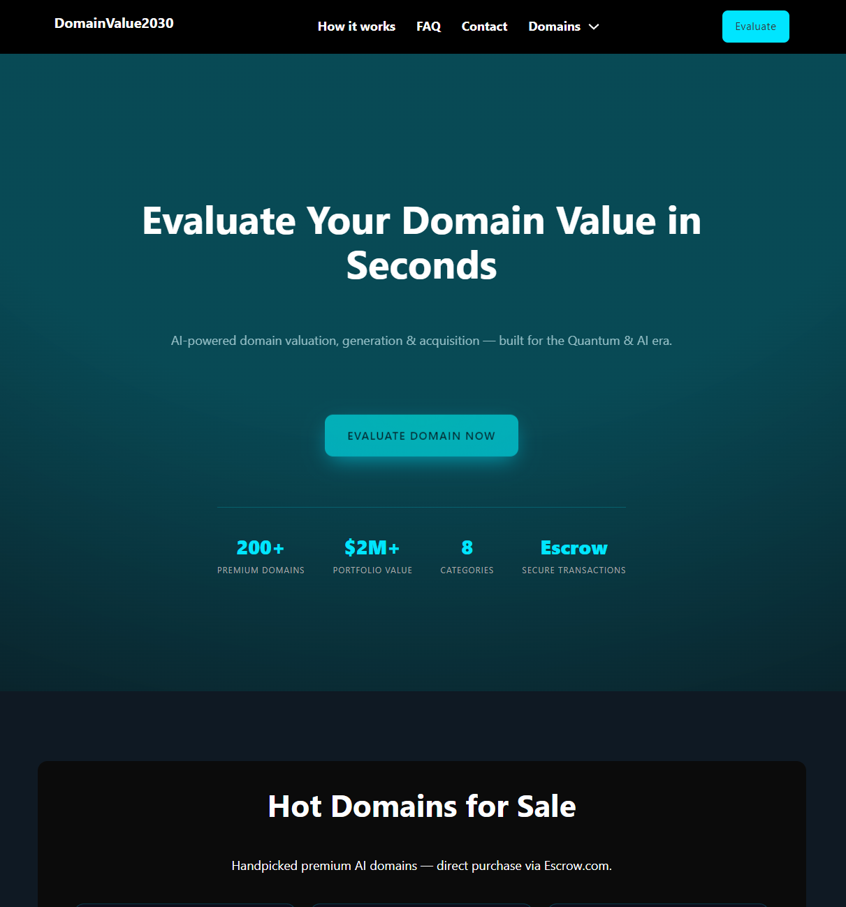 DomainValue2030 website screenshot